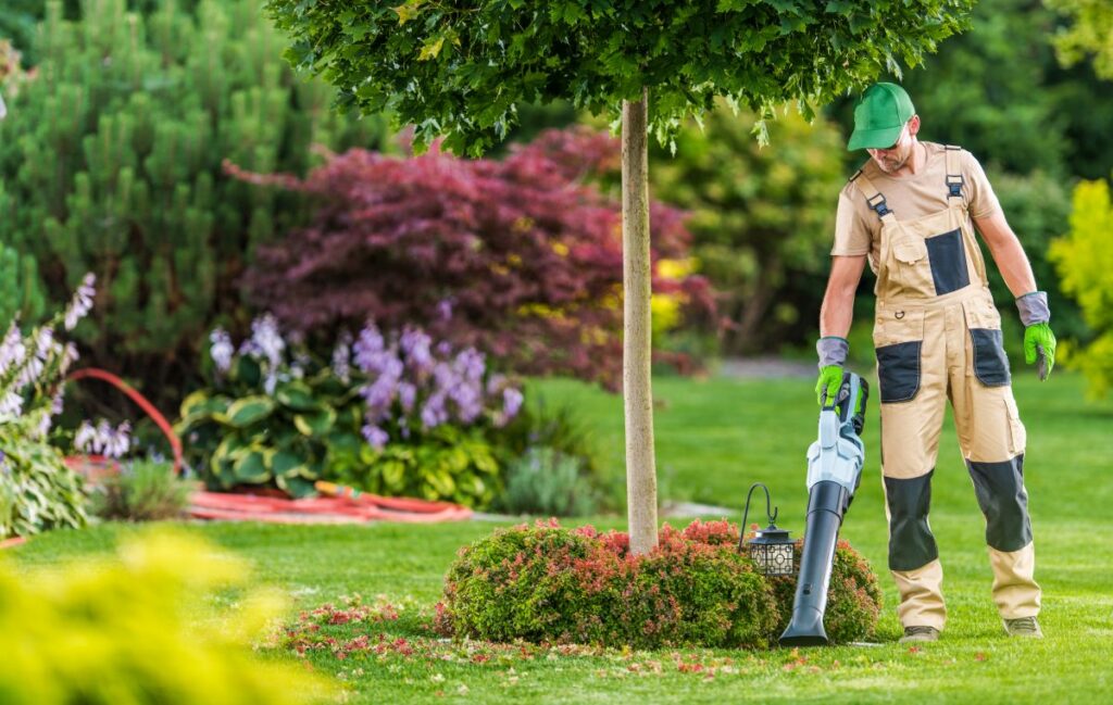 Czy warto kupić odkurzacz ogrodowy do liści?